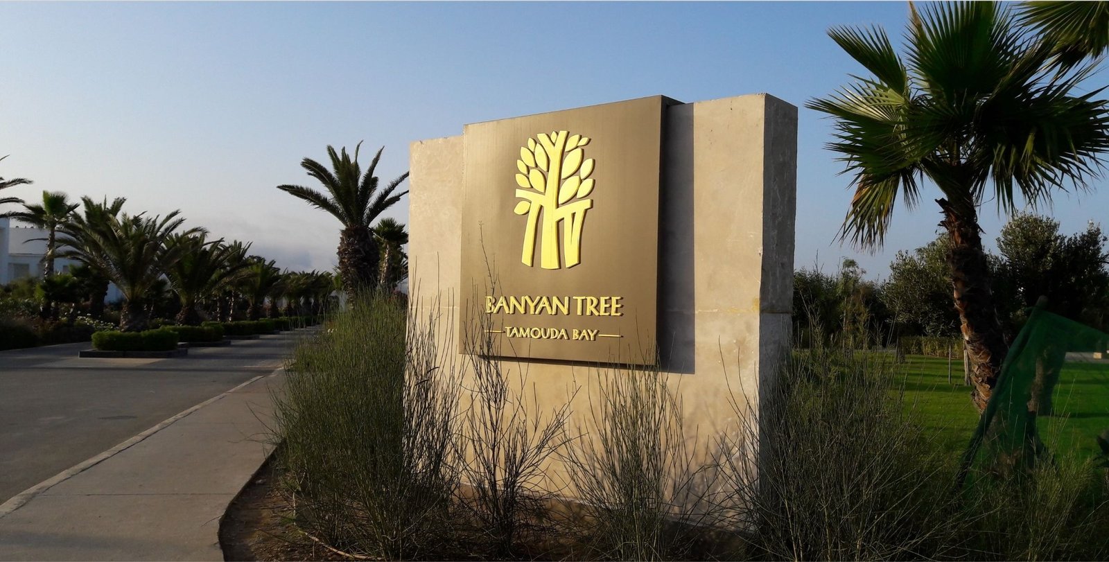Banyan Tree